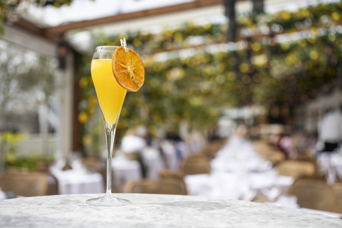 bellini